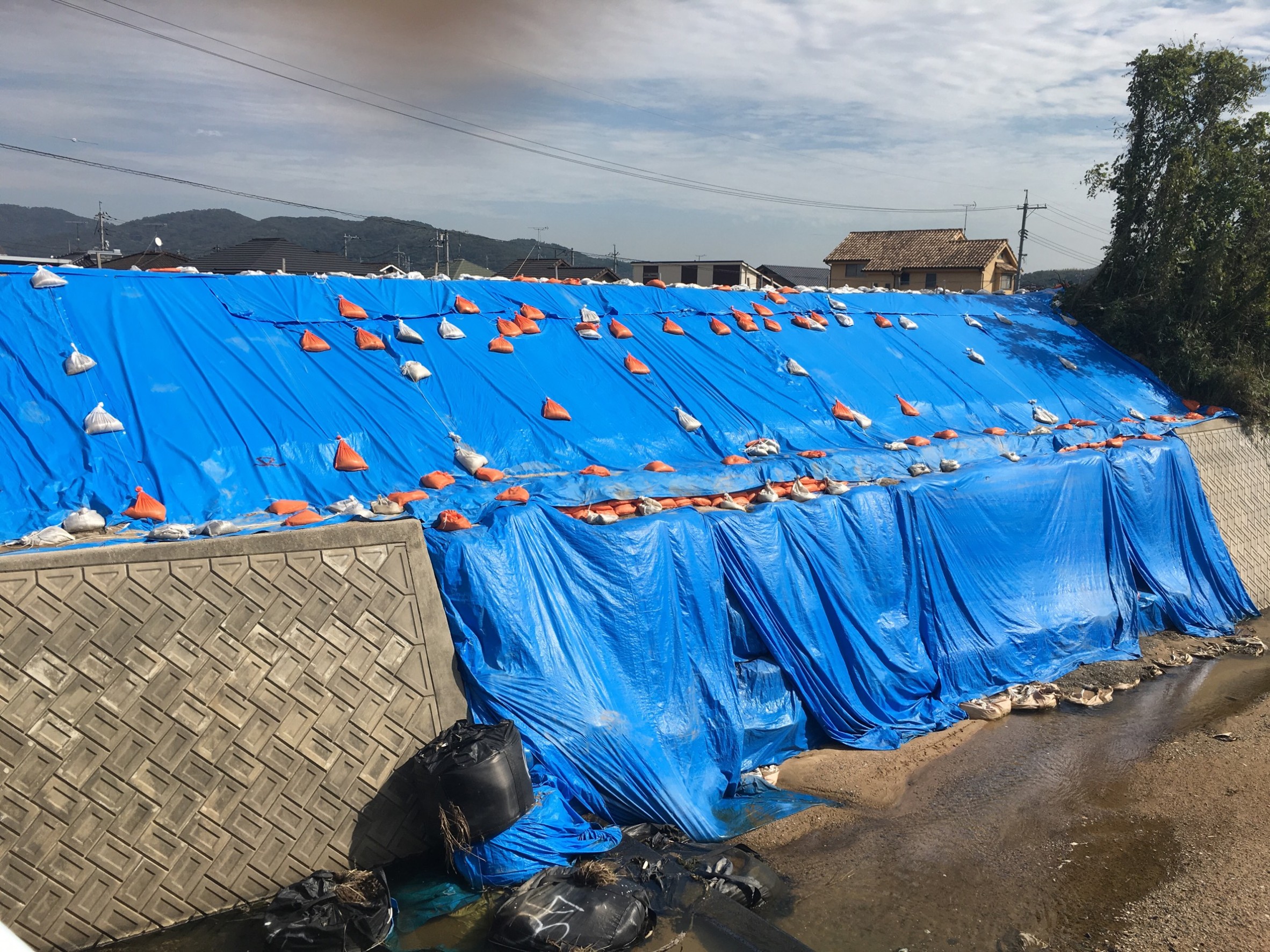 防災用ブルーシート 萩原工業 合成樹脂 製品ポータルサイト