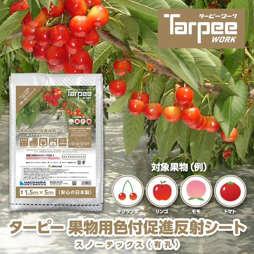 ターピー 果物用色付促進反射シート スノーテックス(有孔)